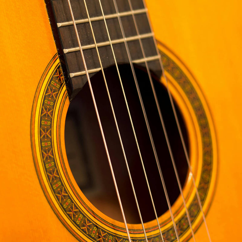 how to make a Homemade Kids Banjo